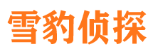 沧浪市婚姻出轨调查